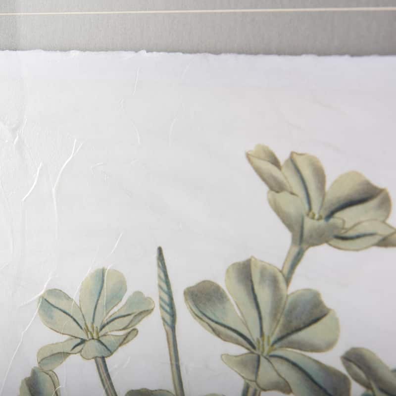 Soft Blue Botanicals VII Framed Art Print