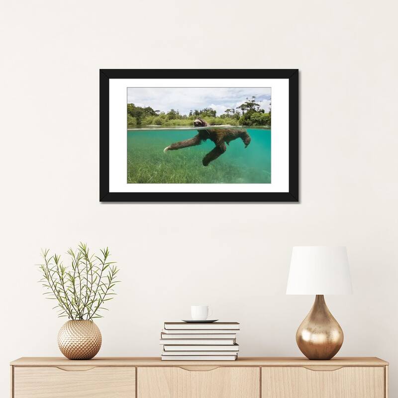 iCanvas "Pygmy Three-Toed Sloth Swimming In Mangrove Forest, Isla Escudo De Veraguas, Panama" by Suzi Eszterhas