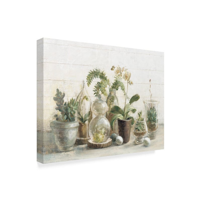 Danhui Nai 'Greenhouse Orchids on Shiplap' Canvas Art