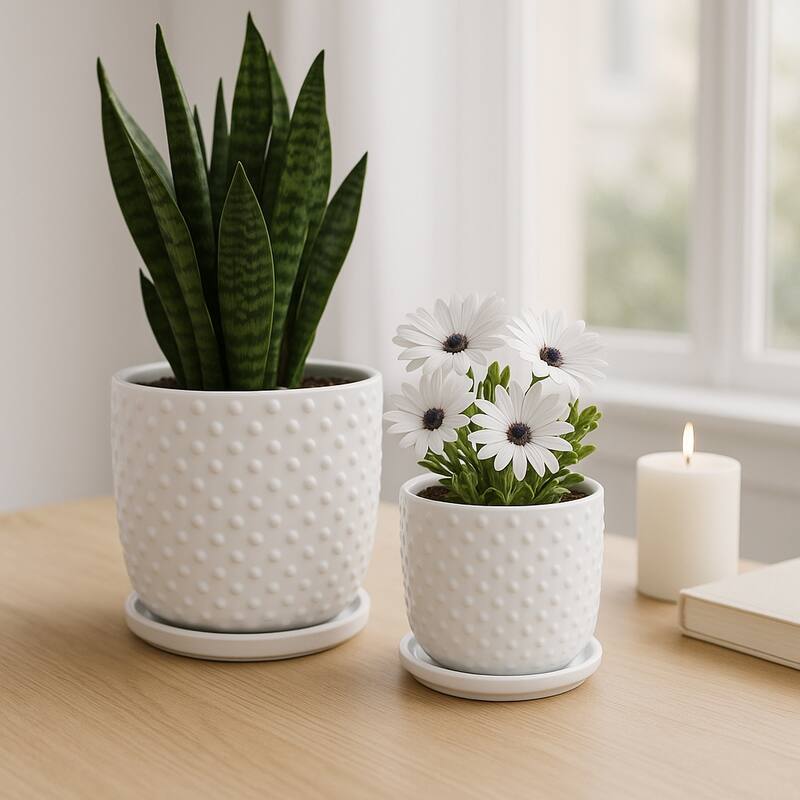 Ceramic Circular Saucer Planters Set of 2 - 6/8 in.