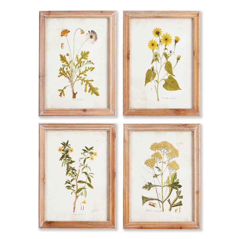 Golden Wildflower Study, Set Of 4