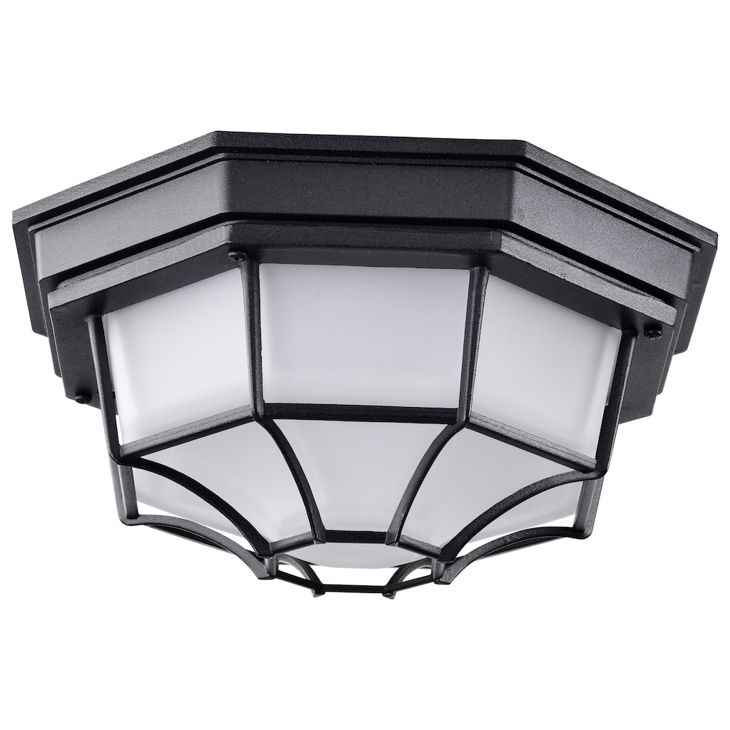 LED Spider Cage Fixture Black Finish with Frosted Glass