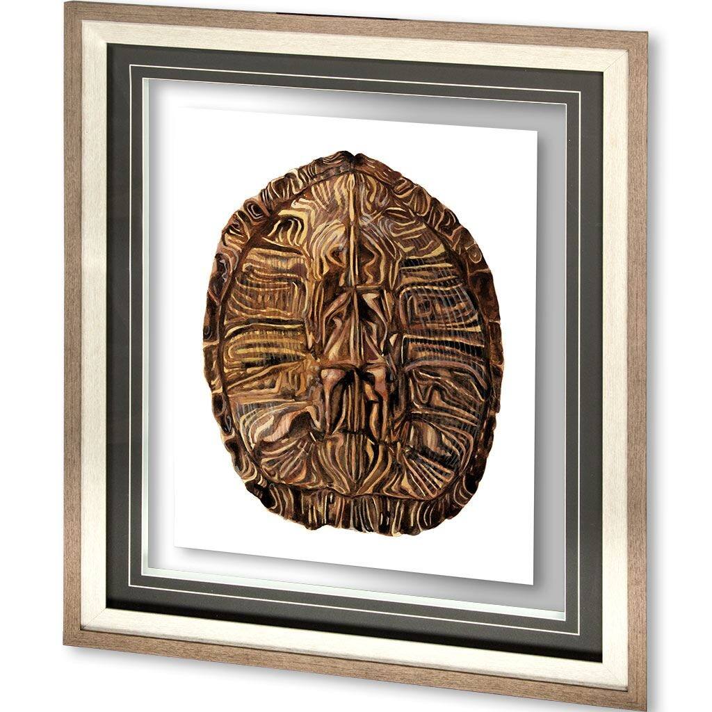 Tortoise Shell Detail II Framed Art Print