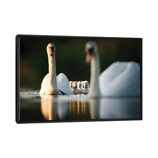 iCanvas "Swan Family" by Mateusz Piesiak Framed - Bed Bath & Beyond ...
