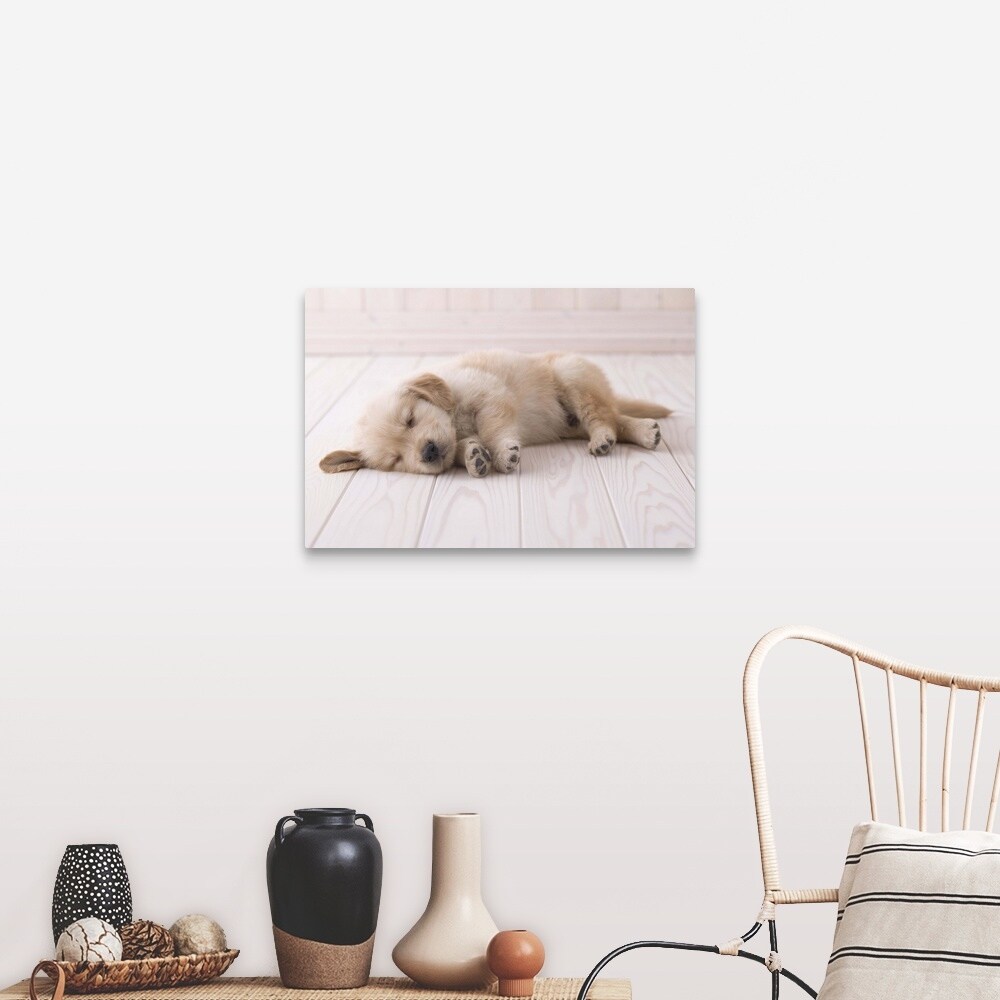 Shop Sleeping Golden Retriever Puppy Canvas Wall Art On Sale