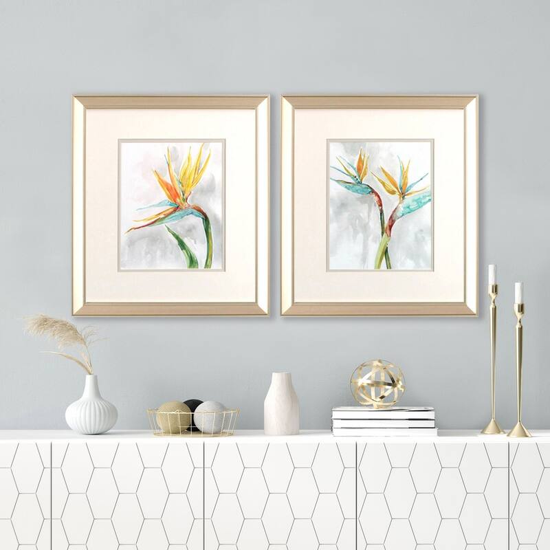 Bird of Paradise S/2 Framed Art Under glass