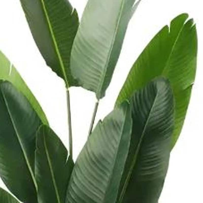 HomeRoots 63" Green Artificial Banana Leaf Tree in a Black Pot - 6.69 in. x 62.99 in. x 6.69 in.