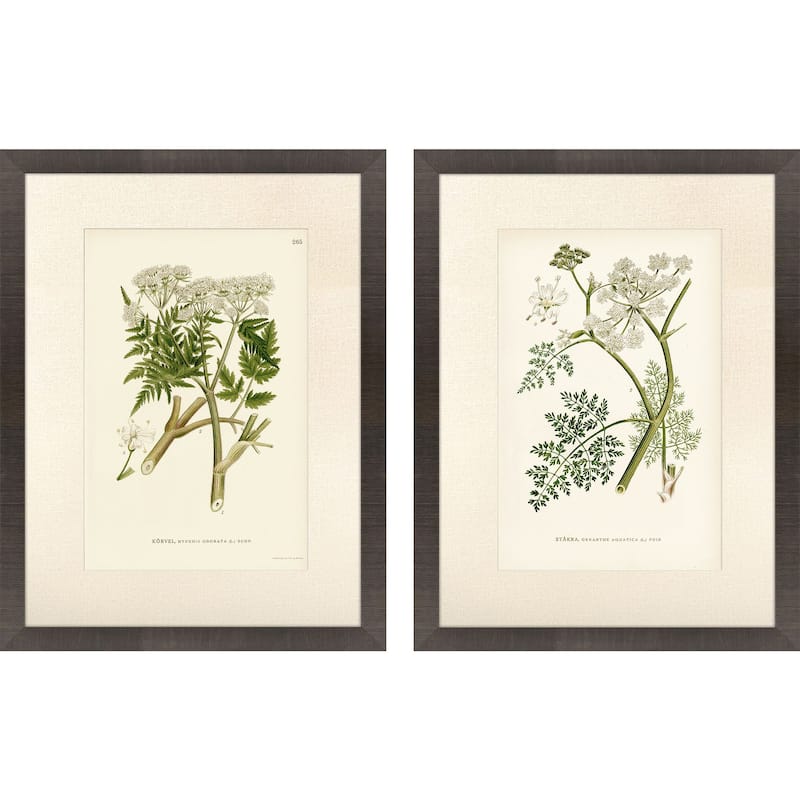 Paragon Queen's Lace I Framed Art - Set of 2