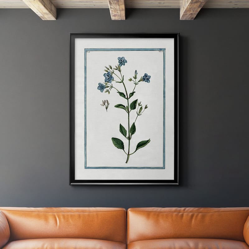 Shabby Chic Botanical II Premium Framed Print - Ready to Hang