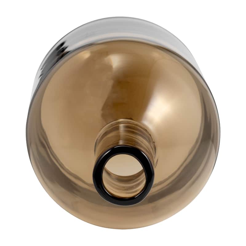 Sagebrook Home Decorative Glass Vase with Modern Bottle Design