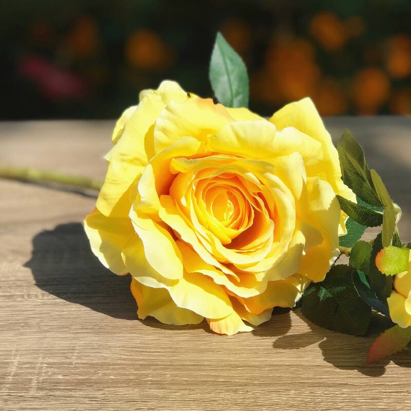 Enova Home 17" Tall Artificial Silk Open Roses Stem Fake Flowers Spray for Home Wedding Party Decoration