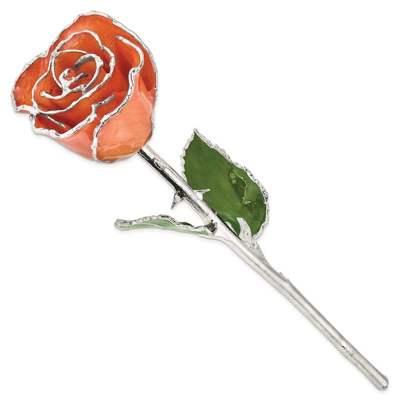 Curata Orange Lacquer Dipped Silver Trimmed Real Rose Flower