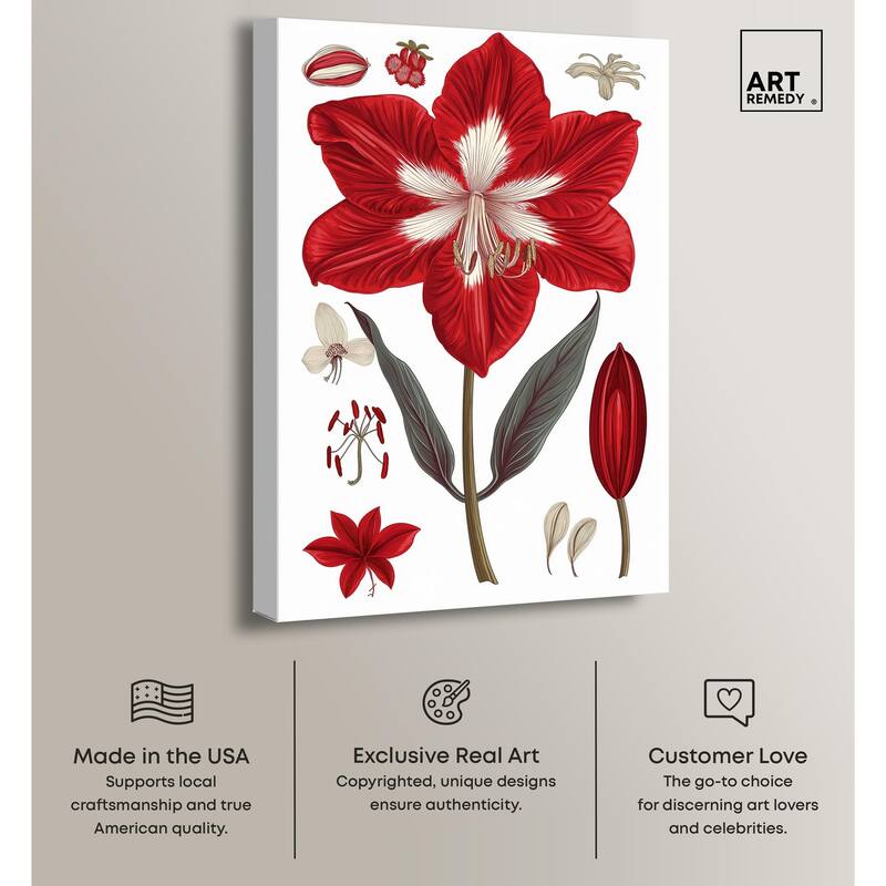 Amaryllis Anatomy Canvas by Art Remedy, Gallery Wrapped