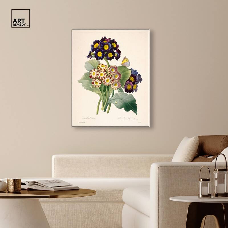 Auricula Varieties Canvas by Art Remedy