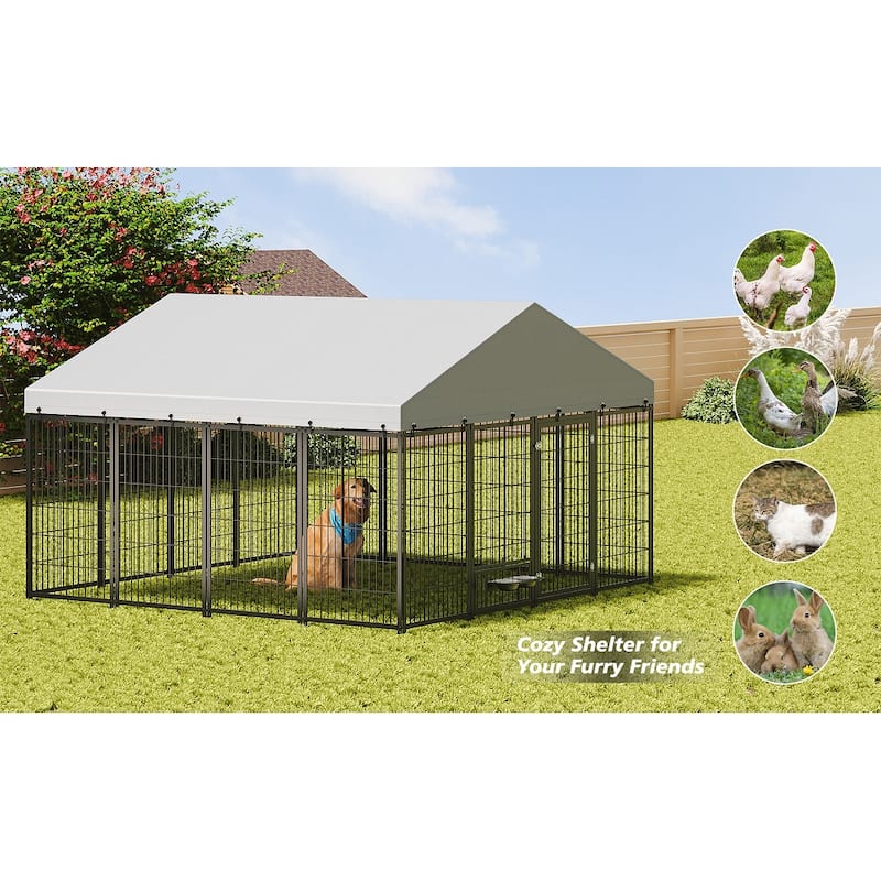 GDF Studio - Rockwell Extra Large Outdoor Dog Kennel with Roof Cover & Feeding System