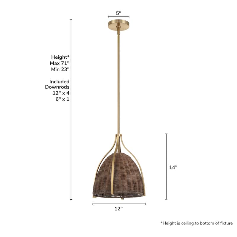 Hunter Arcelia 1-Light 12" Pendant - Modern, Contemporary, Transitional - Kitchen, Island, Dining Room, Entry.