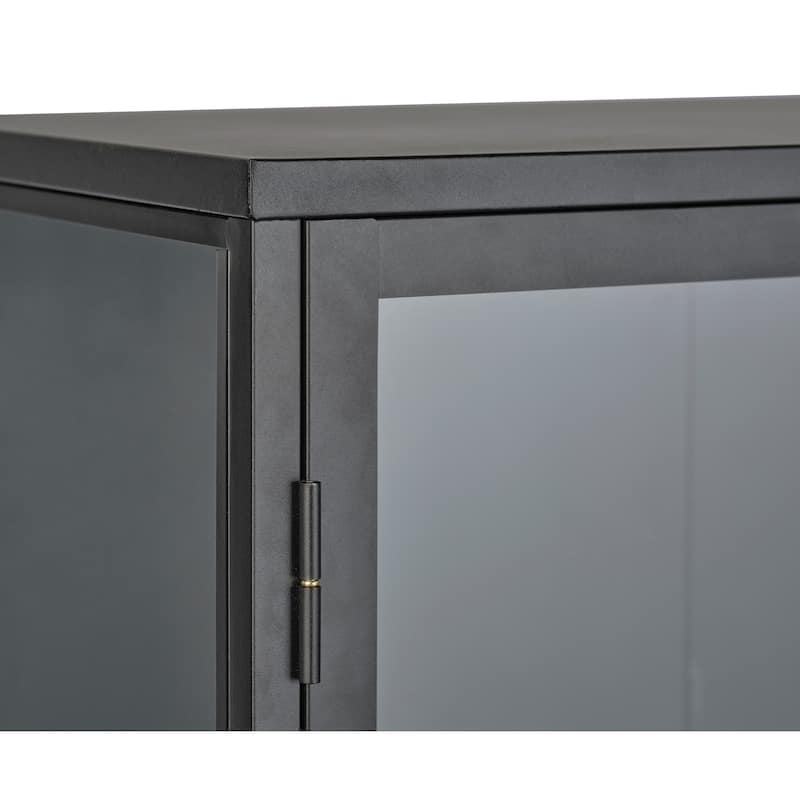 Rye Studio Cairyn Modern Glass and Metal Cabinet