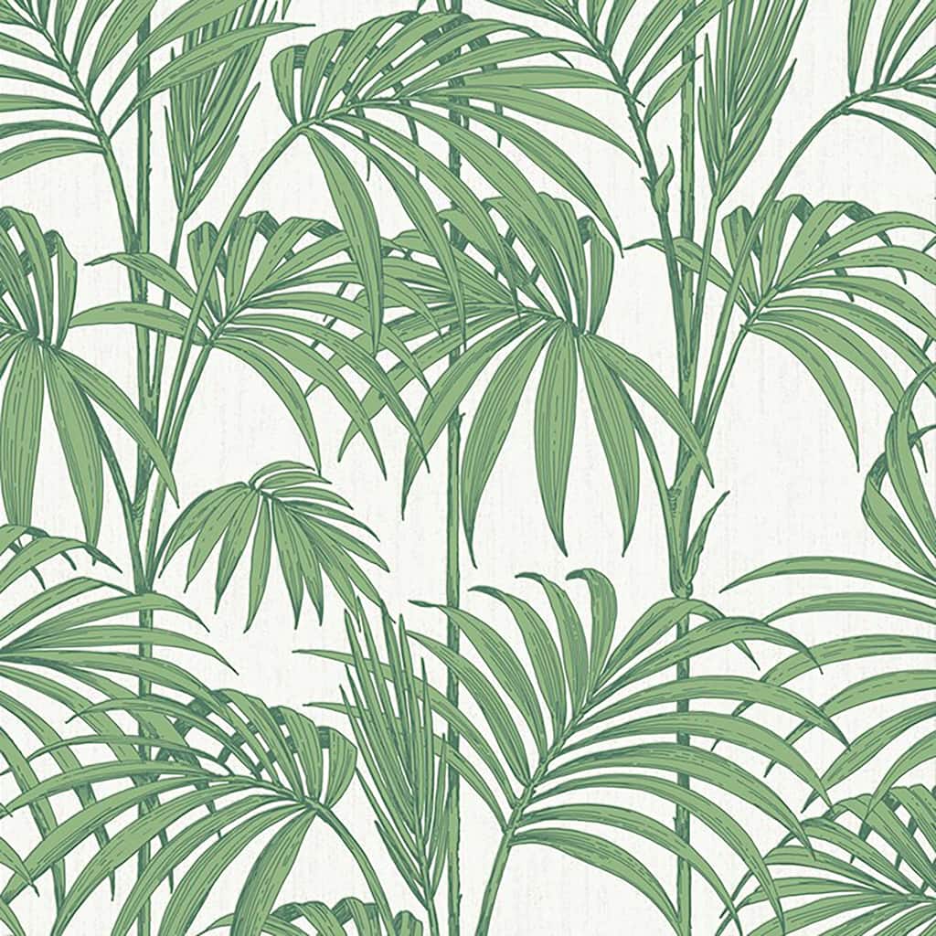 Palm Green Honolulu Wallpaper