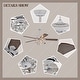 preview thumbnail 20 of 21, Warehouse of Tiffany Praer Washed White 5-blade Lighted Ceiling Fan with Crystal Daisy Bouquet Shade