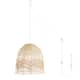 Option Light Brown