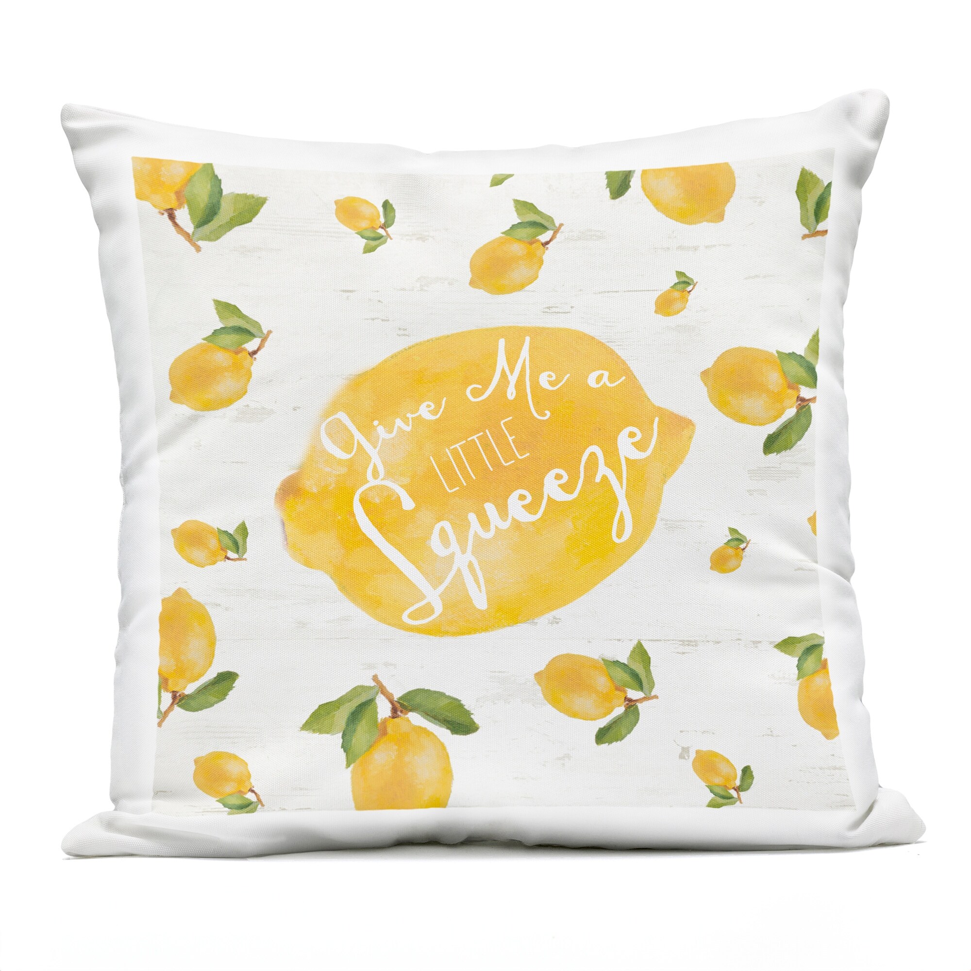 Stupell Give Me A Squeeze Printed Outdoor Throw Pillow Design by Lanie Loreth