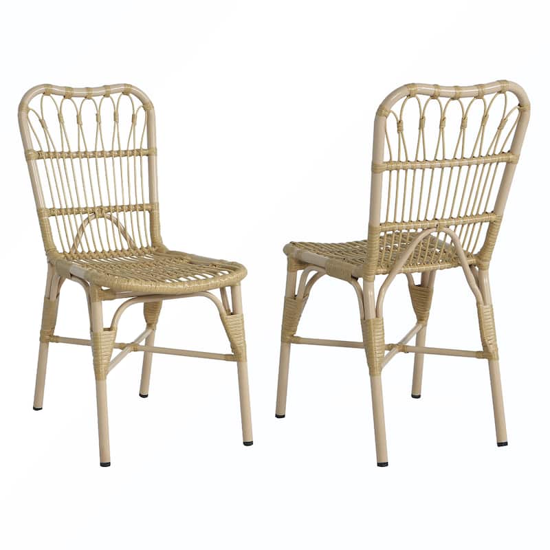 2PCS PE Dining Chairs