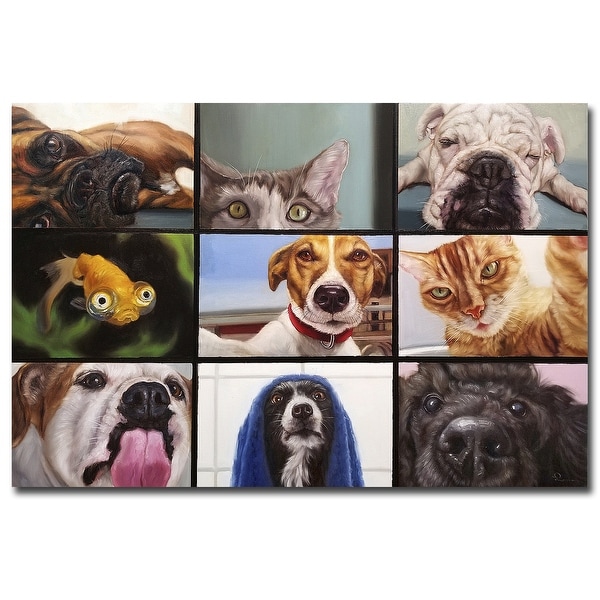 Animal Zoom by Lucia Heffernan Gallery Wrapped Canvas Giclee Art (24 in x 36 in). Opens flyout.