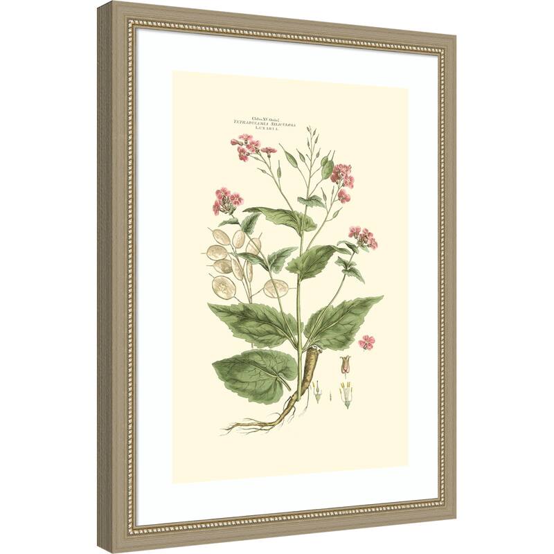 Small Blushing Pink Florals No. 7 by John Miller Wood Framed Wall Art Print