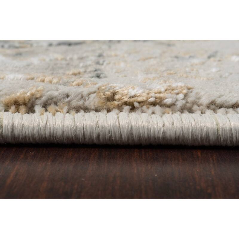 Dynamic Rugs Quartz Traditional Area Rug