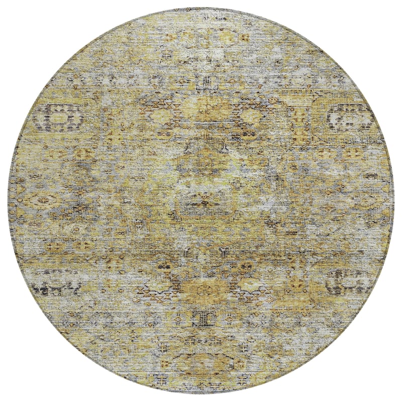 Machine Washable Indoor/ Outdoor Vintage Traditional Chantille Rug