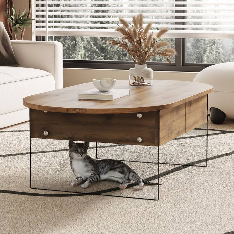 Cozy Oval Double Drawer Coffee Table,Multi-Functional Design,Both Sides Are Transparent Tempered Glass - Transparent,Wood