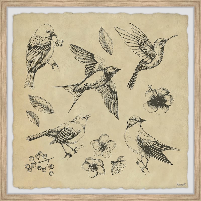 Bird Flight Framed Print