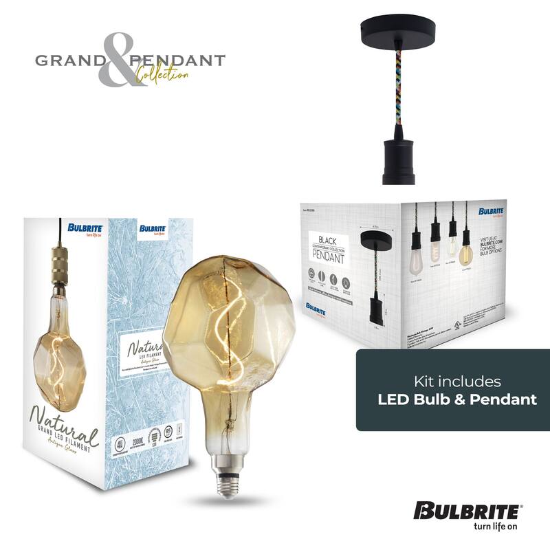 Bulbrite LED Grand Bulb and Pendant Kit of (1) 4 Watt Antique Glass 12" Jewel Shaped Bulb