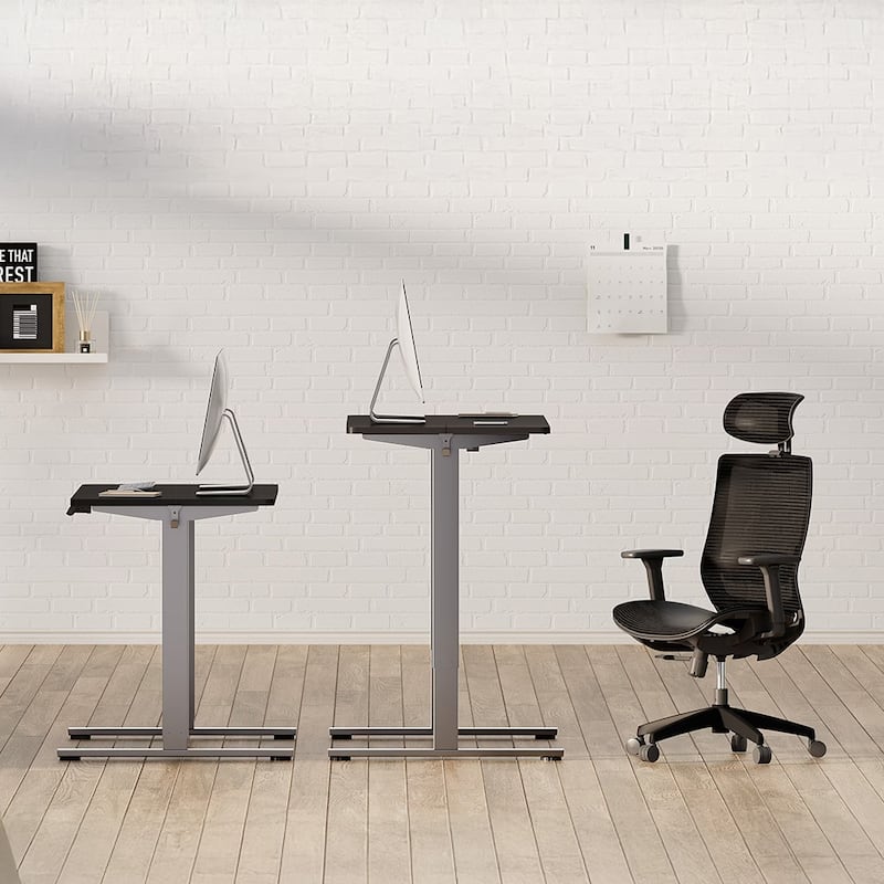 Electric Dual Motor Standing Desk, Adjustable 55x28-inch Workstation