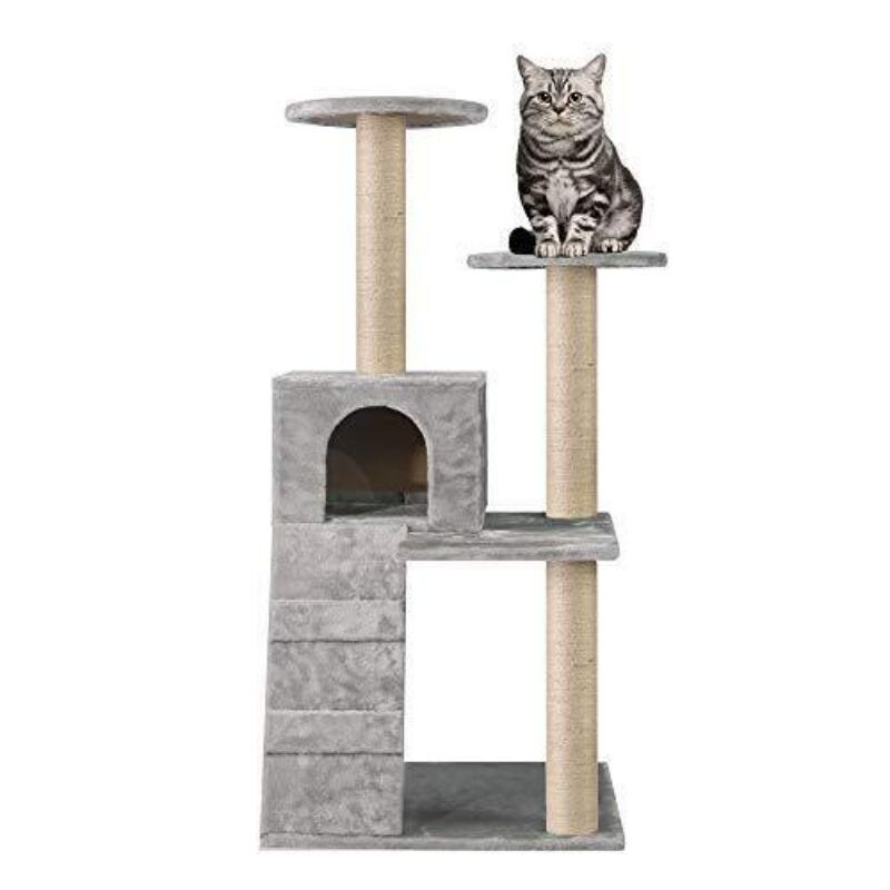 large cat climbing tower