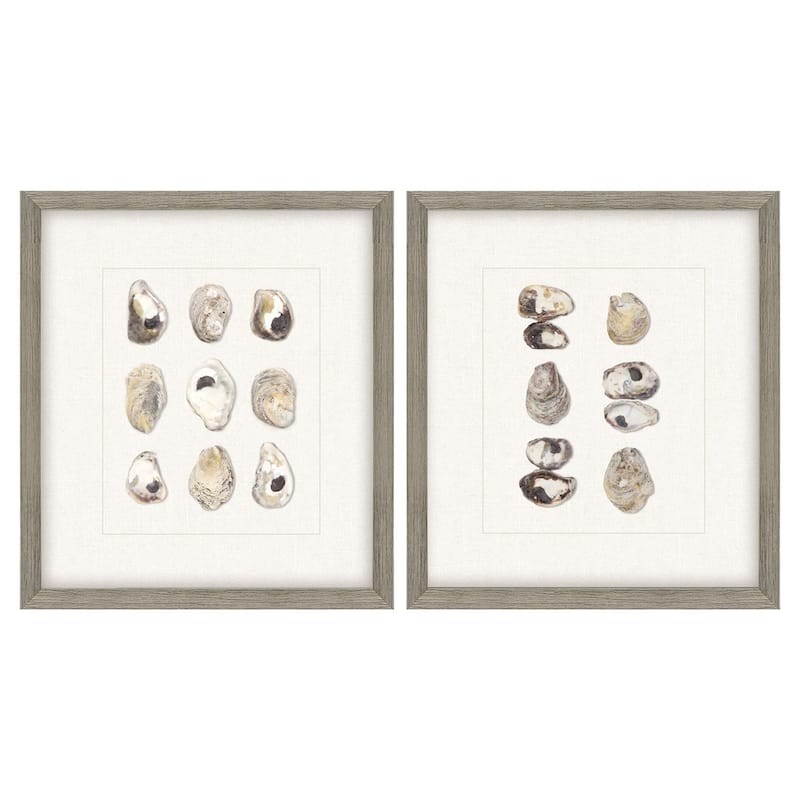 Shell Series S/2 Framed Exclusive Mixed Media Under Glass - Multi-Color - 18 X 16 X 3