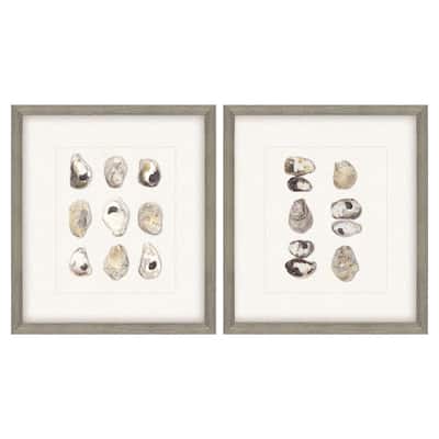 Shell Series S/2 Framed Exclusive Mixed Media Under Glass - Multi-Color