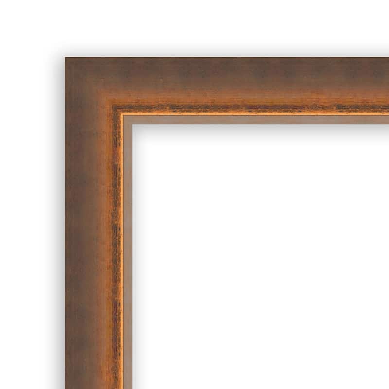 Two Tone Non-Beveled Wood Framed Full-Length On the Door Mirror - Glass Size 14x48