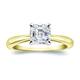 Option Two-Tone