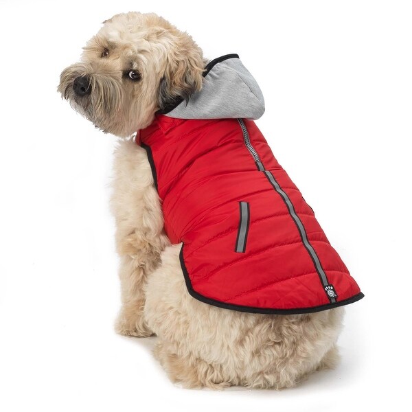 x small dog coat