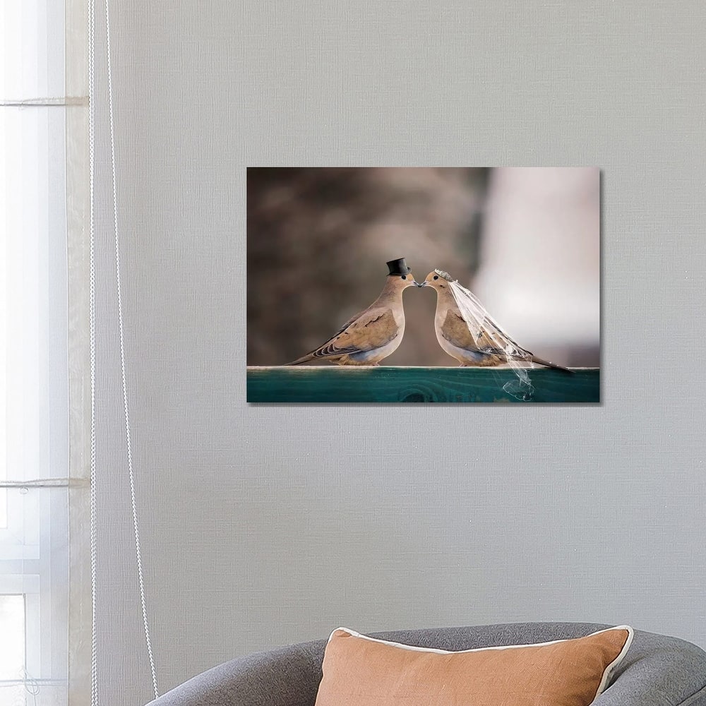 iCanvas "Mourning Dove Wedding" by Karen Burke Canvas Print