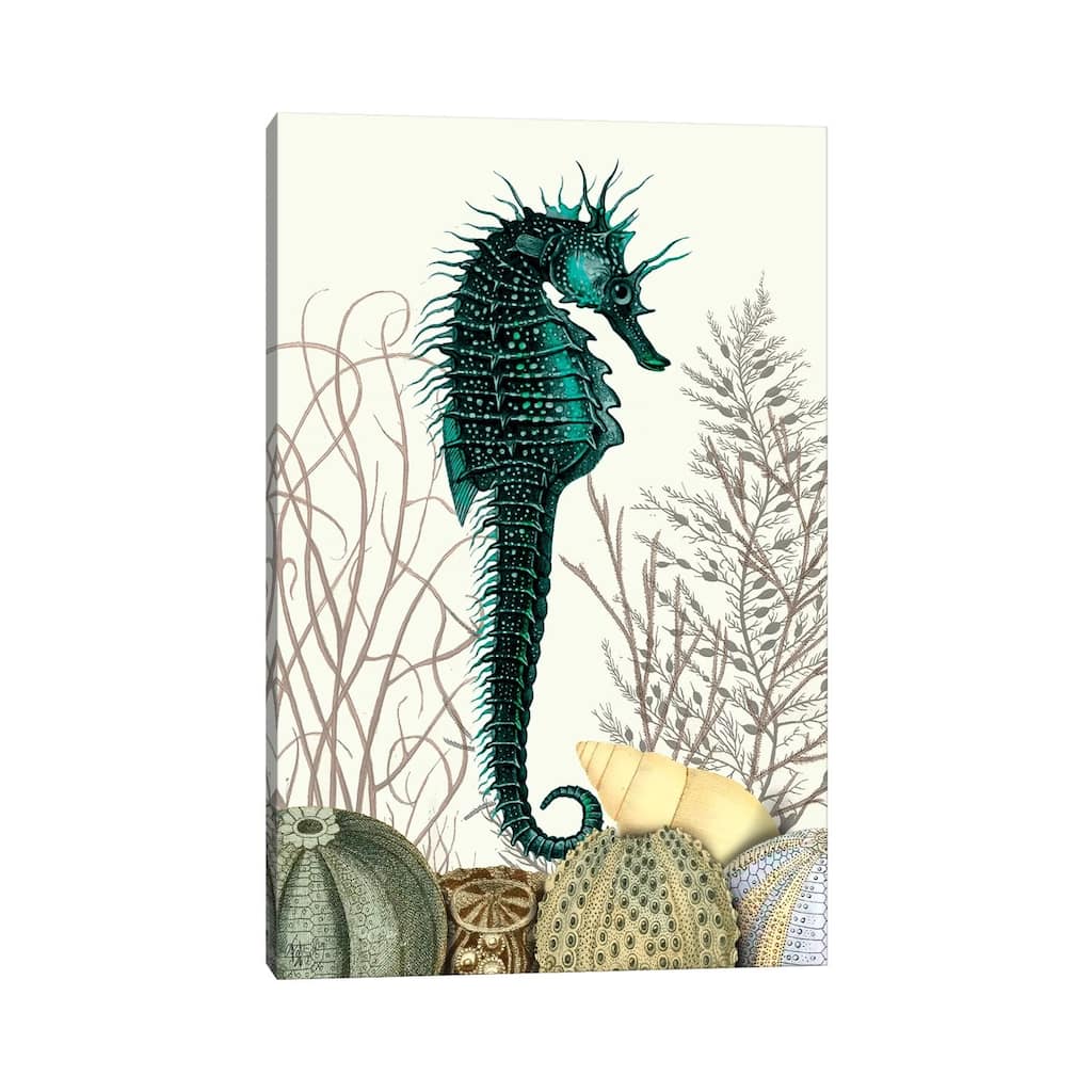 iCanvas "Seahorse & Sea Urchins" by Fab Funky Canvas Print