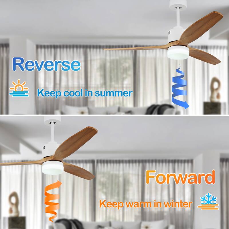 CurveCurio 52'' Indoor Classical LED Sliver Ceiling fan with LED light and Remote, DC Motor, 3 Wood Blades - 52 inches