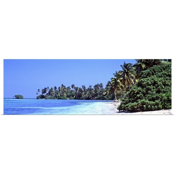 "Tropical trees on the beach, Maldives" Poster Print