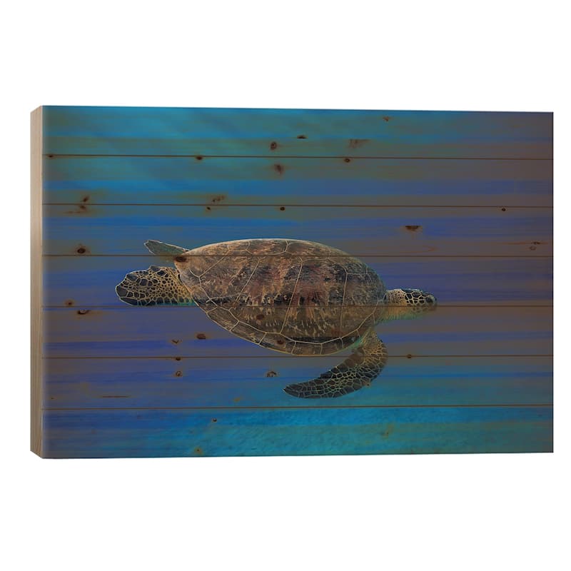 Green Turtle In The Blue Print On Wood by Barathieu Gabriel - Multi-Color - 18x26x1.5