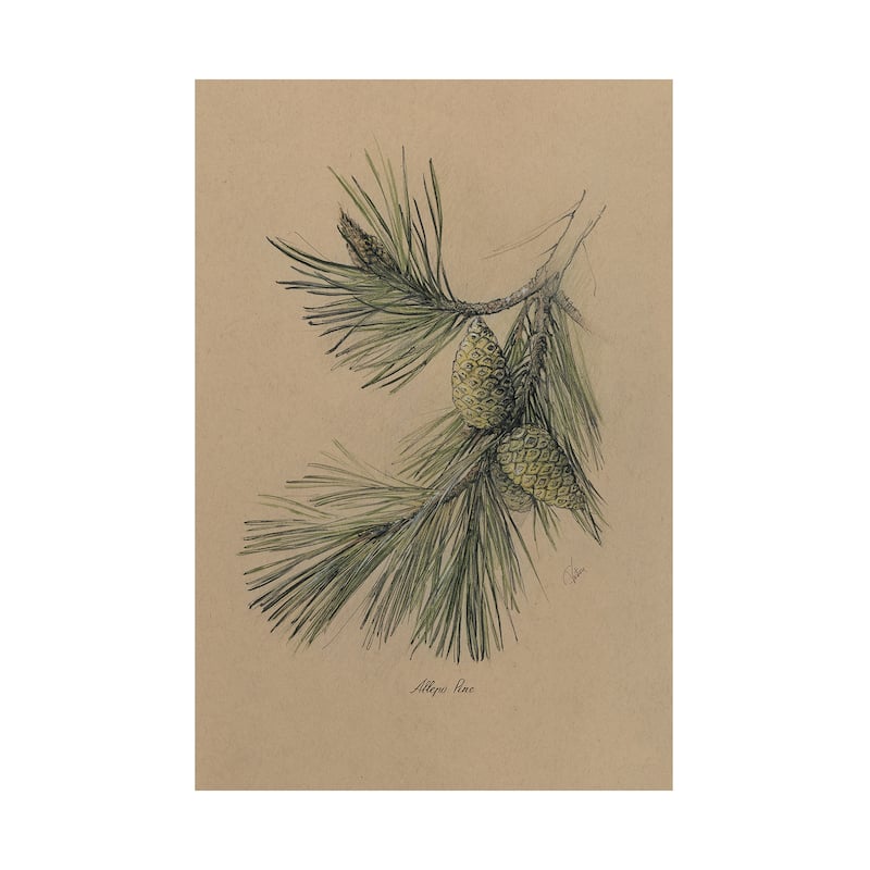 Evergreen collection I (34 x 51) Canvas Art Print - Large