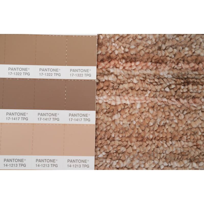 Hand Knotted Oriental Viscose Silk Carpet Tribal Animal Pictorial Peach Gabbeh Area Rug - 9' 10'' X 8' 2''