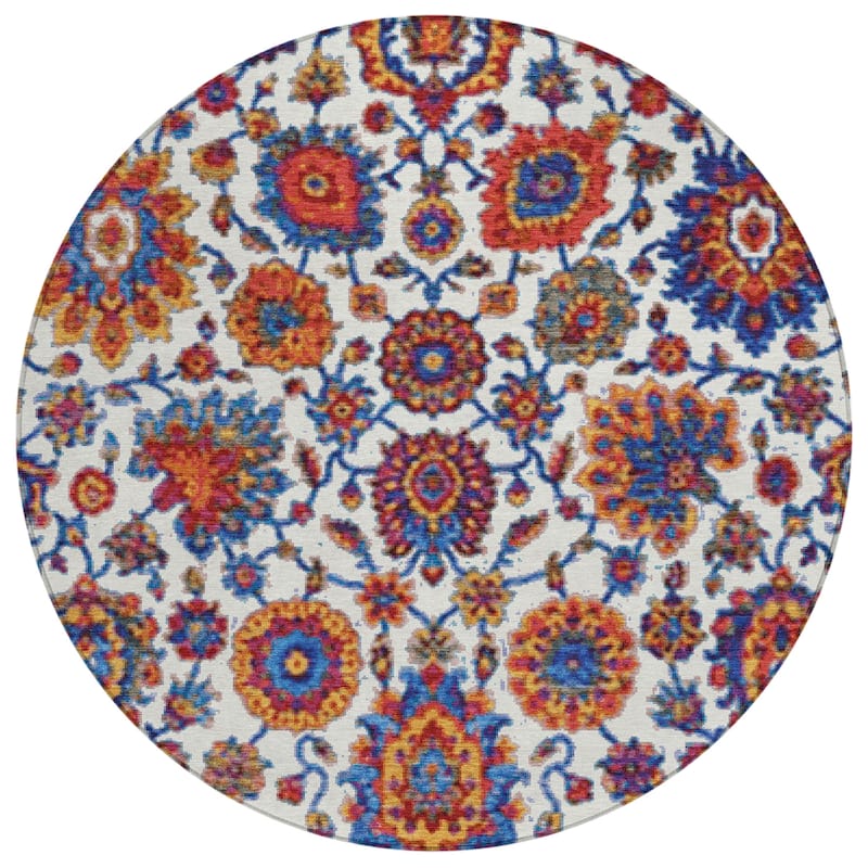 Machine Washable Indoor/Outdoor Traditional Farmhouse Chantille Rug