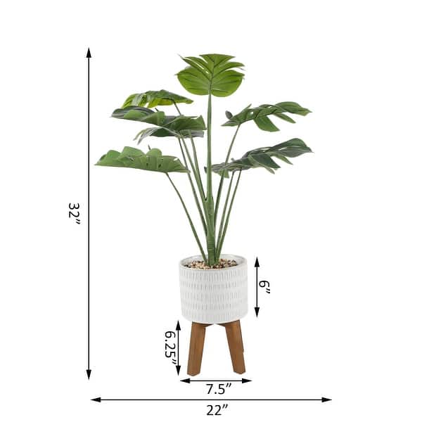 32" Split-leaf in 8" Raindrop on Stand
