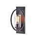 preview thumbnail 4 of 10, Anastasia Single Light Wall Sconce with Clear Glass Shade
